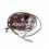 Catenaria EF/90 4G 1H AI AL CI NAT E1