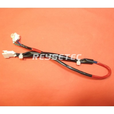 Cable+conector display puerta RB468