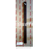 Frontis Campana TL 62 Marron